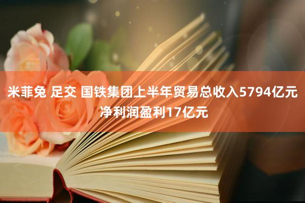 米菲兔 足交 国铁集团上半年贸易总收入5794亿元 净利润盈利17亿元