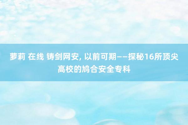 萝莉 在线 铸剑网安， 以前可期——探秘16所顶尖高校的鸠合安全专科