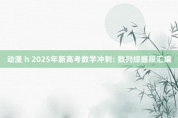 动漫 h 2025年新高考数学冲刺: 数列综握段汇编