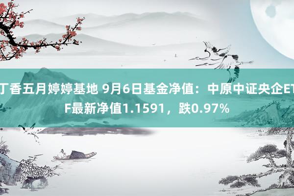 丁香五月婷婷基地 9月6日基金净值：中原中证央企ETF最新净值1.1591，跌0.97%