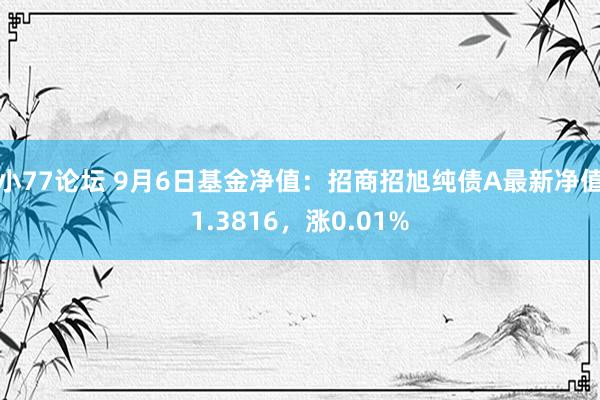 小77论坛 9月6日基金净值：招商招旭纯债A最新净值1.3816，涨0.01%