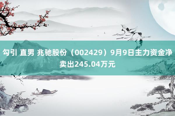 勾引 直男 兆驰股份（002429）9月9日主力资金净卖出245.04万元