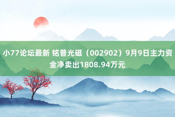 小77论坛最新 铭普光磁（002902）9月9日主力资金净卖出1808.94万元