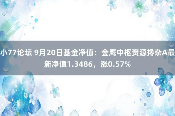 小77论坛 9月20日基金净值：金鹰中枢资源搀杂A最新净值1.3486，涨0.57%