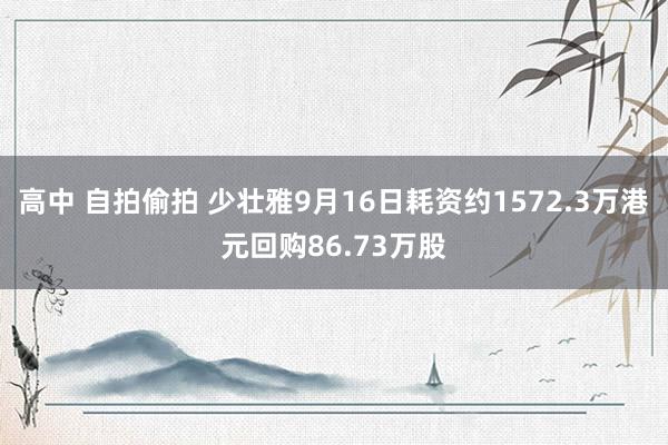 高中 自拍偷拍 少壮雅9月16日耗资约1572.3万港元回购86.73万股