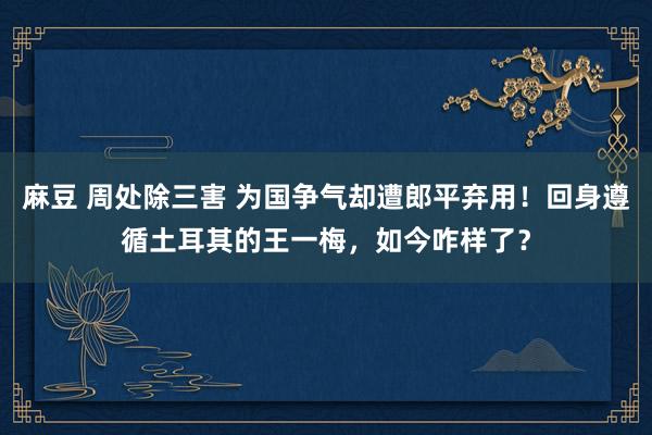 麻豆 周处除三害 为国争气却遭郎平弃用！回身遵循土耳其的王一梅，如今咋样了？