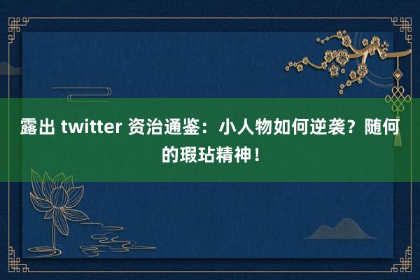 露出 twitter 资治通鉴：小人物如何逆袭？随何的瑕玷精神！