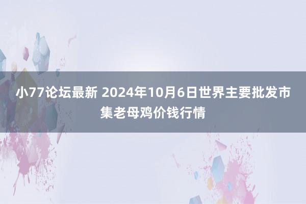 小77论坛最新 2024年10月6日世界主要批发市集老母鸡价钱行情