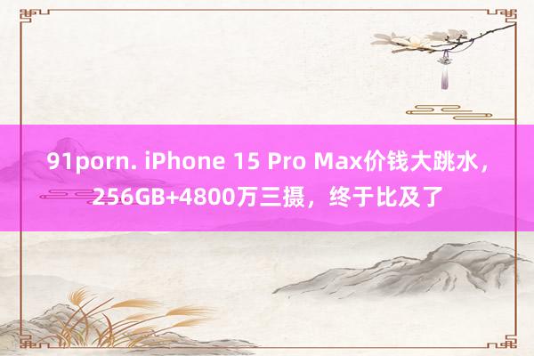 91porn. iPhone 15 Pro Max价钱大跳水，256GB+4800万三摄，终于比及了