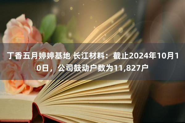 丁香五月婷婷基地 长江材料：截止2024年10月10日，公司鼓动户数为11，827户