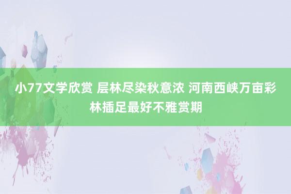 小77文学欣赏 层林尽染秋意浓 河南西峡万亩彩林插足最好不雅赏期