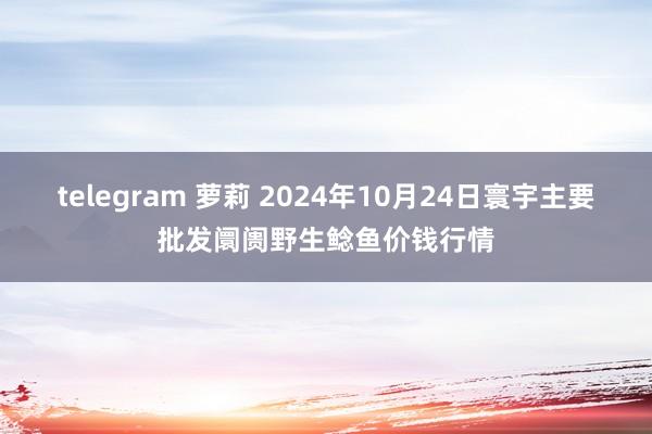 telegram 萝莉 2024年10月24日寰宇主要批发阛阓野生鲶鱼价钱行情