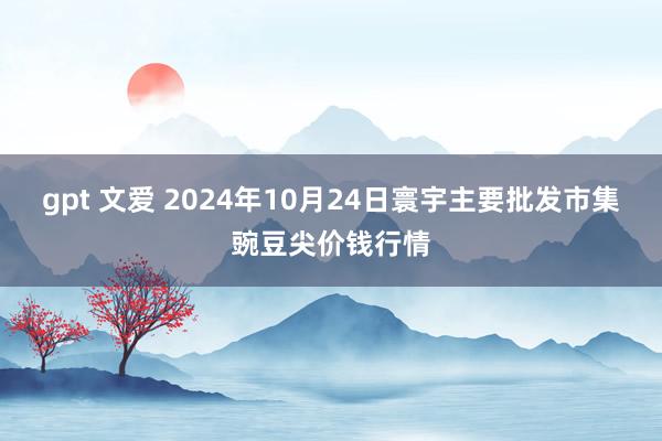 gpt 文爱 2024年10月24日寰宇主要批发市集豌豆尖价钱行情