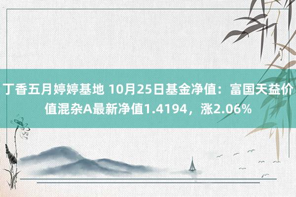 丁香五月婷婷基地 10月25日基金净值：富国天益价值混杂A最新净值1.4194，涨2.06%