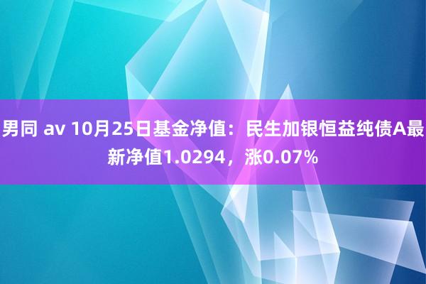 男同 av 10月25日基金净值：民生加银恒益纯债A最新净值1.0294，涨0.07%