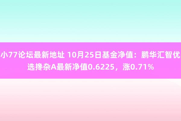 小77论坛最新地址 10月25日基金净值：鹏华汇智优选搀杂A最新净值0.6225，涨0.71%