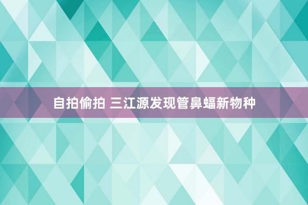 自拍偷拍 三江源发现管鼻蝠新物种