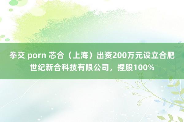 拳交 porn 芯合（上海）出资200万元设立合肥世纪新合科技有限公司，捏股100%