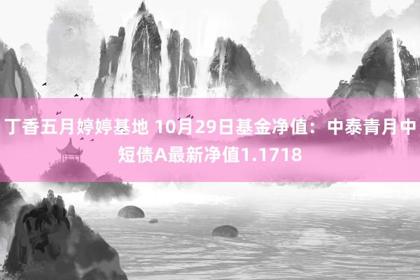 丁香五月婷婷基地 10月29日基金净值：中泰青月中短债A最新净值1.1718