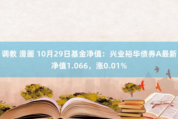 调教 漫画 10月29日基金净值：兴业裕华债券A最新净值1.066，涨0.01%