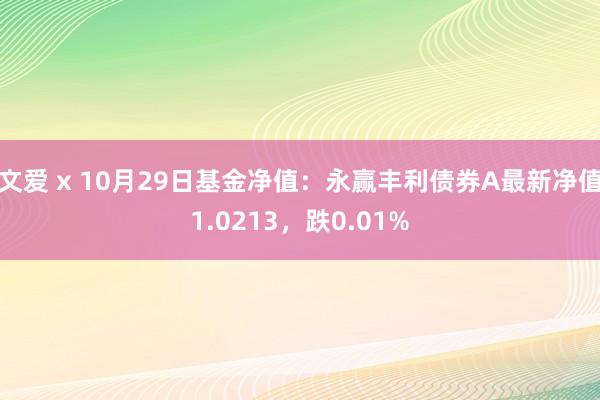 文爱 x 10月29日基金净值：永赢丰利债券A最新净值1.0213，跌0.01%