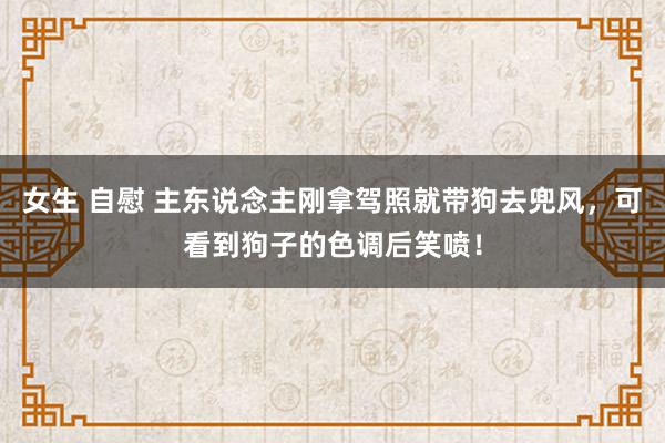 女生 自慰 主东说念主刚拿驾照就带狗去兜风，可看到狗子的色调后笑喷！