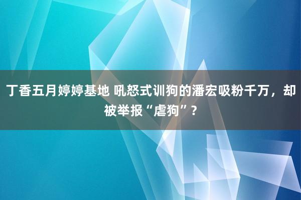 丁香五月婷婷基地 吼怒式训狗的潘宏吸粉千万，却被举报“虐狗”？