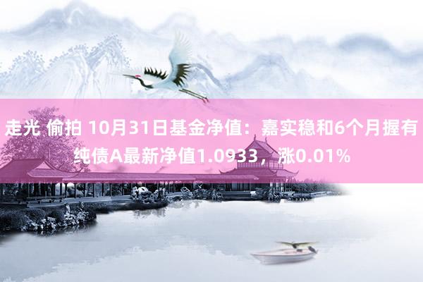 走光 偷拍 10月31日基金净值：嘉实稳和6个月握有纯债A最新净值1.0933，涨0.01%