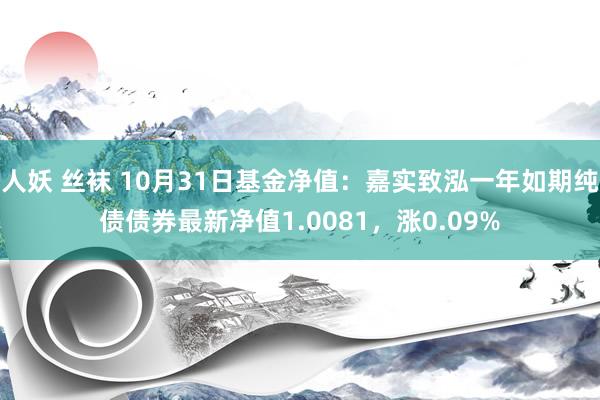 人妖 丝袜 10月31日基金净值：嘉实致泓一年如期纯债债券最新净值1.0081，涨0.09%