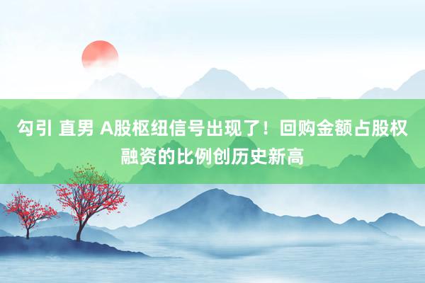 勾引 直男 A股枢纽信号出现了！回购金额占股权融资的比例创历史新高