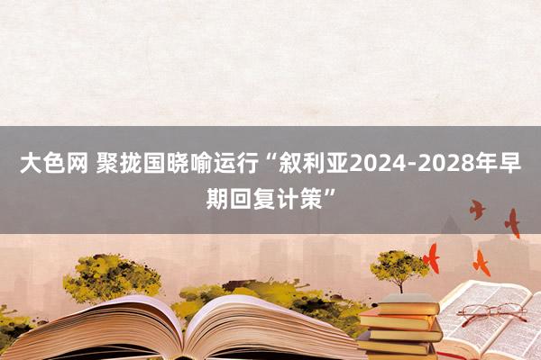 大色网 聚拢国晓喻运行“叙利亚2024-2028年早期回复计策”