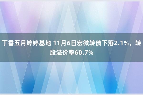 丁香五月婷婷基地 11月6日宏微转债下落2.1%，转股溢价率60.7%