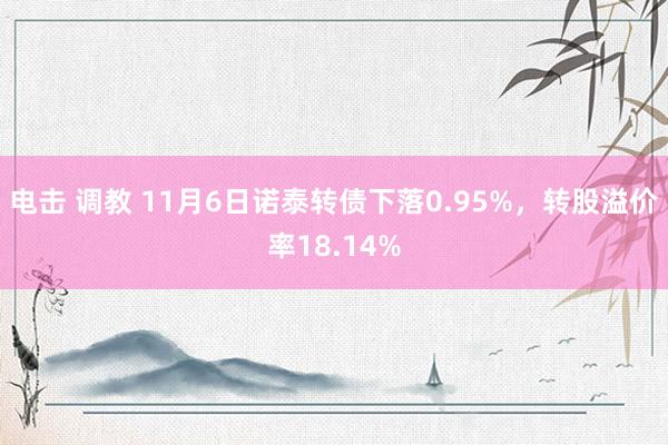 电击 调教 11月6日诺泰转债下落0.95%，转股溢价率18.14%