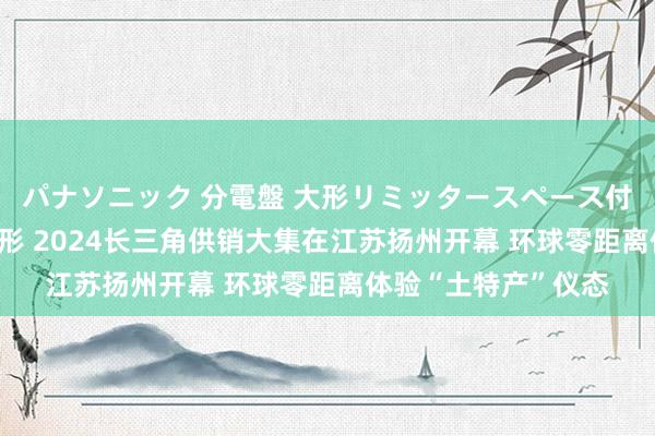 パナソニック 分電盤 大形リミッタースペース付 露出・半埋込両用形 2024长三角供销大集在江苏扬州开幕 环球零距离体验“土特产”仪态