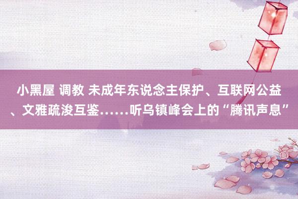 小黑屋 调教 未成年东说念主保护、互联网公益、文雅疏浚互鉴……听乌镇峰会上的“腾讯声息”