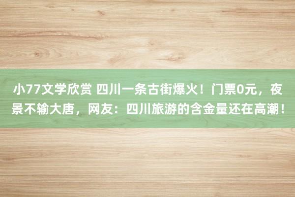 小77文学欣赏 四川一条古街爆火！门票0元，夜景不输大唐，网友：四川旅游的含金量还在高潮！