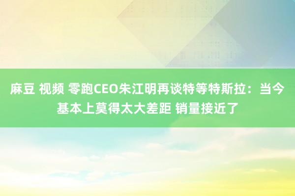 麻豆 视频 零跑CEO朱江明再谈特等特斯拉：当今基本上莫得太大差距 销量接近了