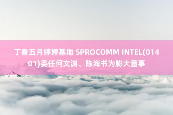 丁香五月婷婷基地 SPROCOMM INTEL(01401)委任何文渊、陈海书为膨大董事