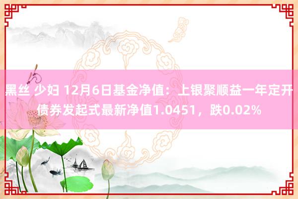 黑丝 少妇 12月6日基金净值：上银聚顺益一年定开债券发起式最新净值1.0451，跌0.02%