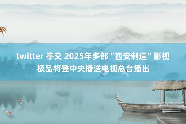 twitter 拳交 2025年多部“西安制造”影视极品将登中央播送电视总台播出