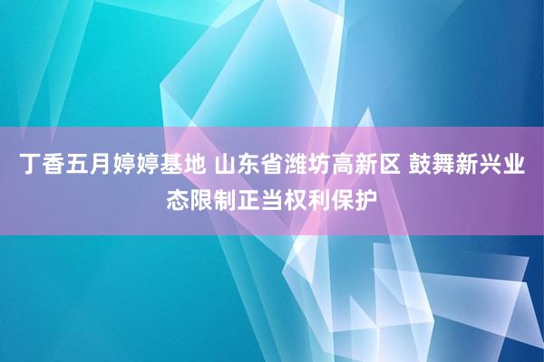 丁香五月婷婷基地 山东省潍坊高新区 鼓舞新兴业态限制正当权利保护