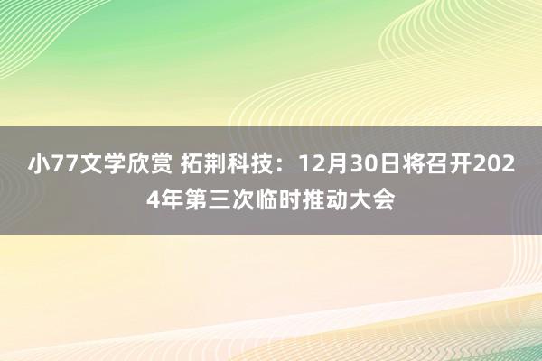 小77文学欣赏 拓荆科技：12月30日将召开2024年第三次临时推动大会