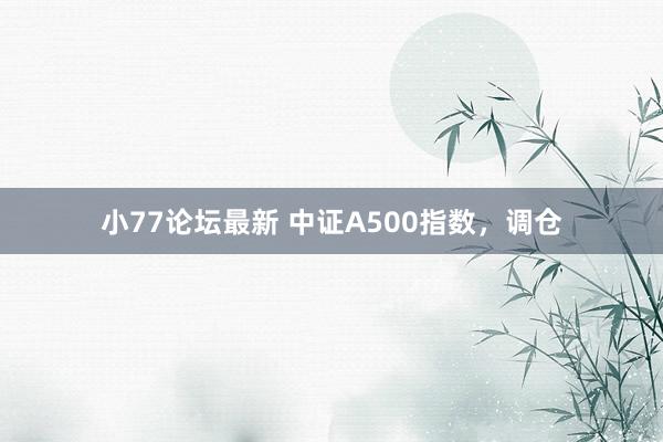 小77论坛最新 中证A500指数，调仓