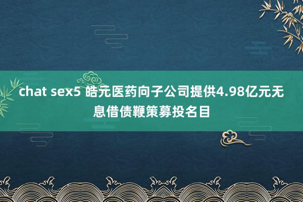 chat sex5 皓元医药向子公司提供4.98亿元无息借债鞭策募投名目