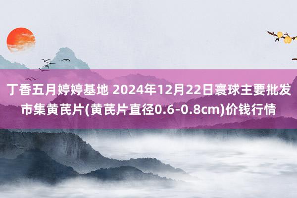 丁香五月婷婷基地 2024年12月22日寰球主要批发市集黄芪片(黄芪片直径0.6-0.8cm)价钱行情