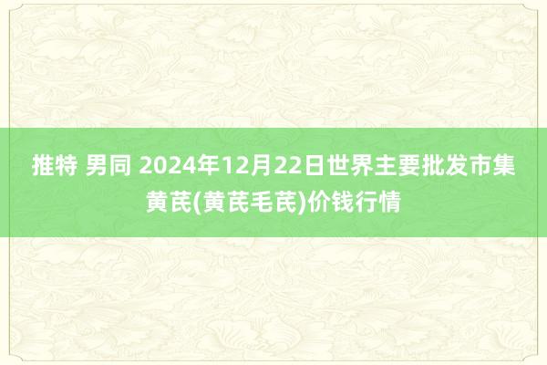 推特 男同 2024年12月22日世界主要批发市集黄芪(黄芪毛芪)价钱行情