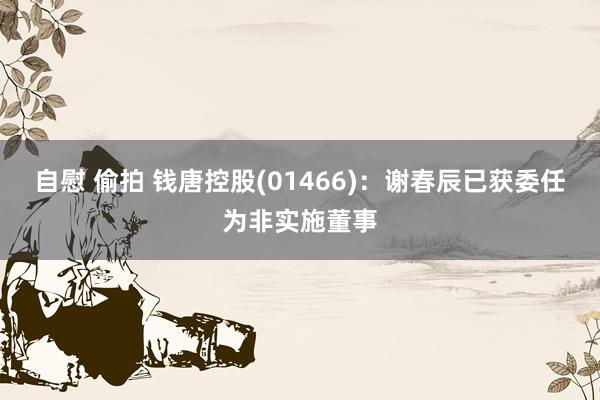 自慰 偷拍 钱唐控股(01466)：谢春辰已获委任为非实施董事