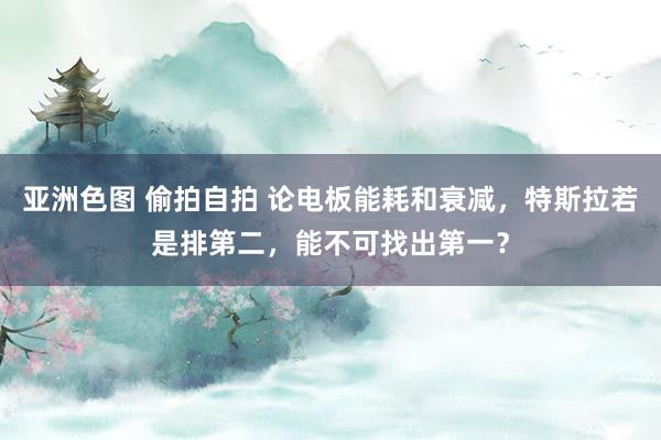 亚洲色图 偷拍自拍 论电板能耗和衰减，特斯拉若是排第二，能不可找出第一？