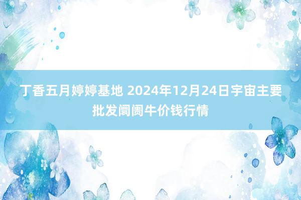 丁香五月婷婷基地 2024年12月24日宇宙主要批发阛阓牛价钱行情