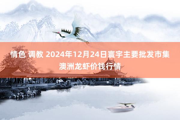 情色 调教 2024年12月24日寰宇主要批发市集澳洲龙虾价钱行情